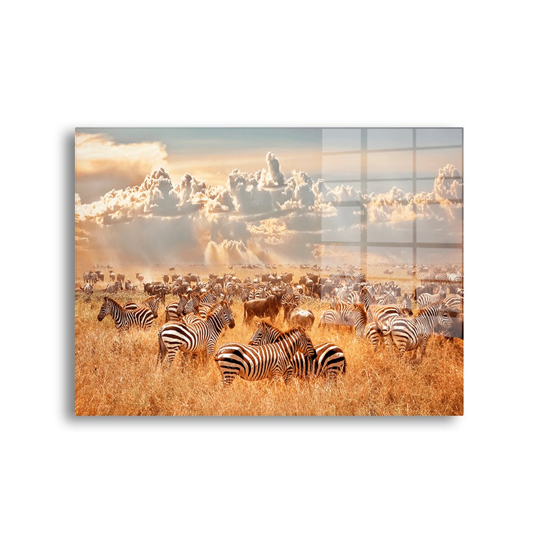 Zebra glasschilderij voorkant