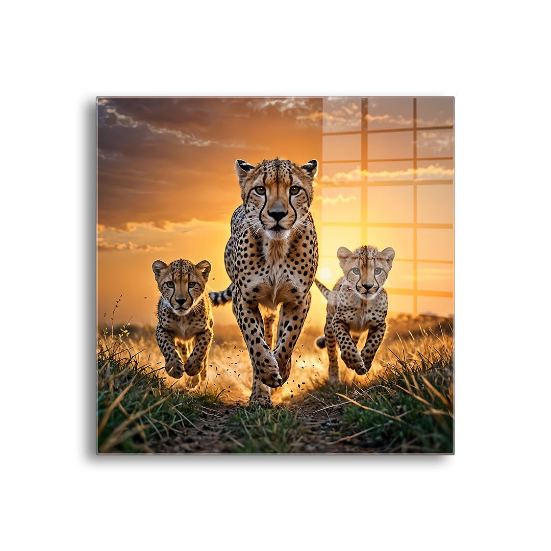 JAGUAR FAMILY